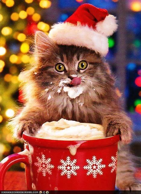 [eggnog%2520puss%255B2%255D.jpg]