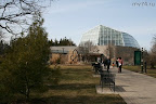 The museum of butterflies