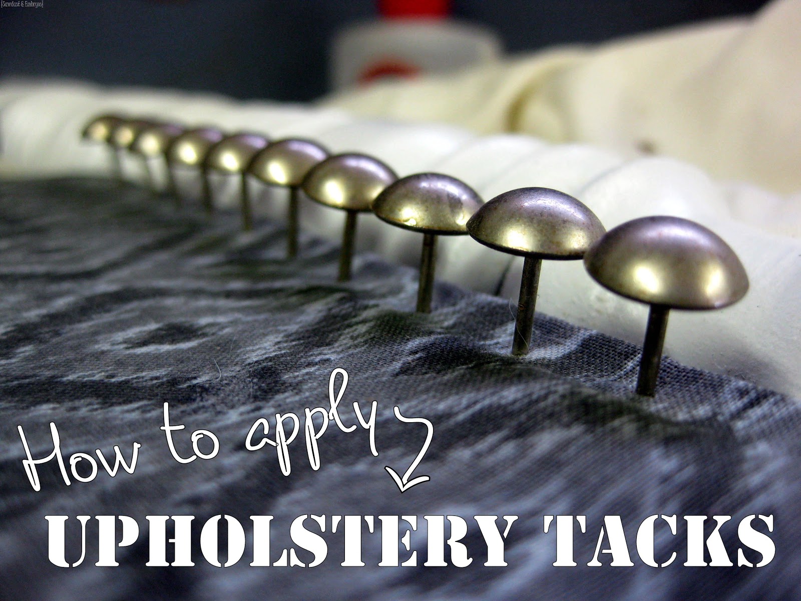 [Upholstery%2520Tacks%2520101%2520%257E%2520Applying%2520them%2520in%2520a%2520straight%2520line%2521%2520%257BSawdust%2520and%2520Embryos%257D%255B10%255D.jpg]