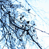 201009