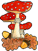 Cogumelos (20)