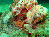  Koh Lipe Resimleri Fotoğrafları