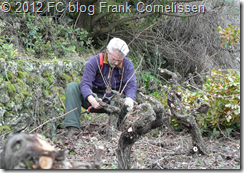 Frank is pruning 1 - Flickr- Intercambio de fotos Frank is pruning 1 - Flickr- Intercambio de fotos