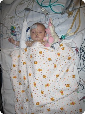 225956_10150300180239552_346729_n (2)