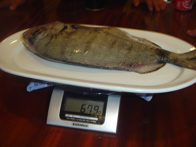 [DSC02087%255B3%255D.jpg]