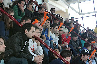 Auton Fem - Esporles
