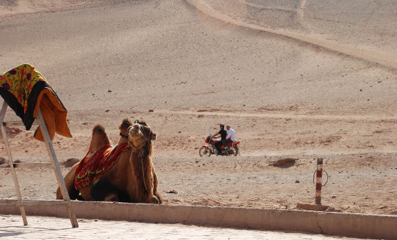 Flaming mountains - Chameau, moto et dune