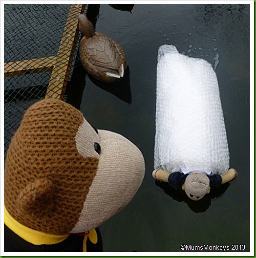 DIY zorbing DIY zorbing