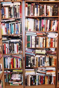 fiction shelf fiction shelf
