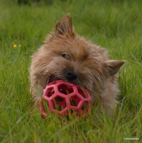 DSC_3577 DSC_3577