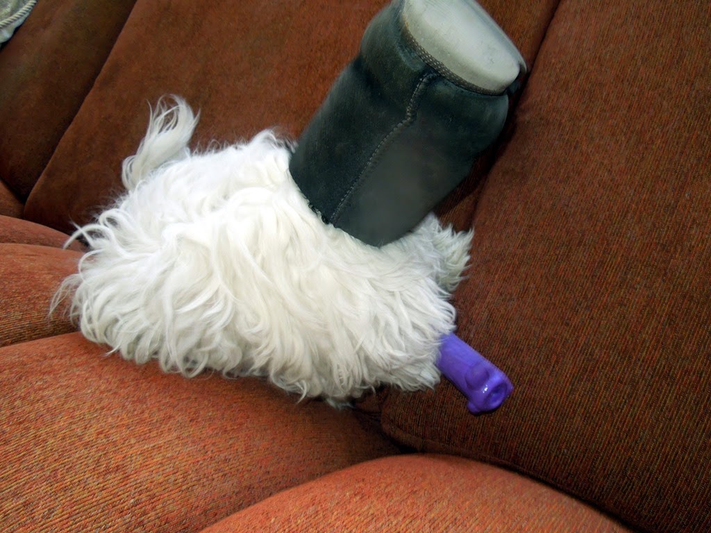 [DSCN0993%255B3%255D.jpg]