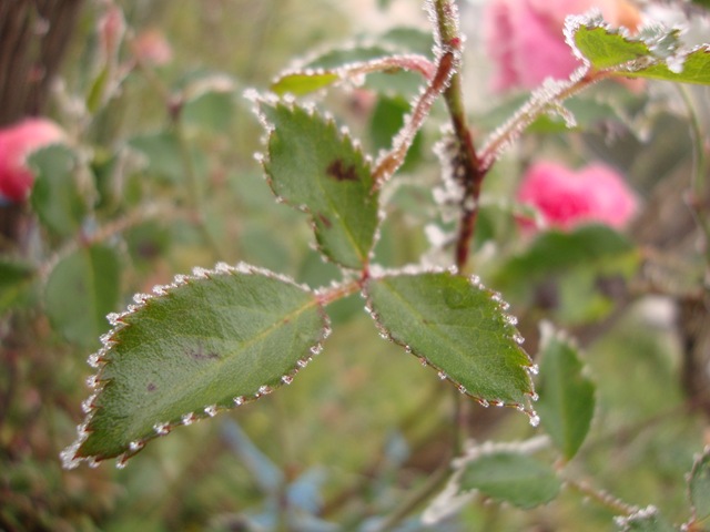 [DSC06797%255B3%255D.jpg]