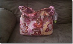 Purse10 Purse10