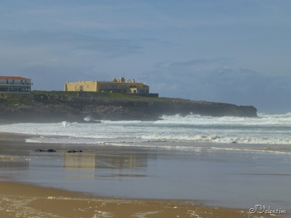 [P1010458%255B3%255D.jpg]