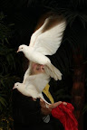 IMG_7516.JPG