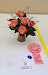 Mini Duchess Copper Queen 'Conundrum' Diane Pavlovich