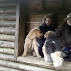 merlin_max_hütte_2.jpg