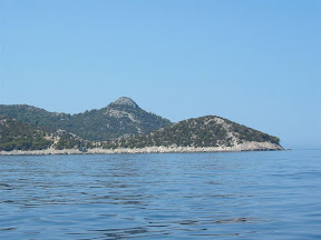 IMG_0008.jpg