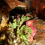 1483-6.JPG