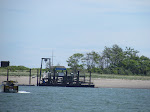 IMG_1561.jpg