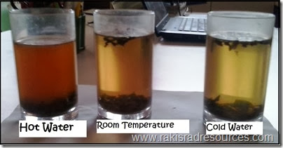 Use tea leaves to help students visualize how molecules move when heated.