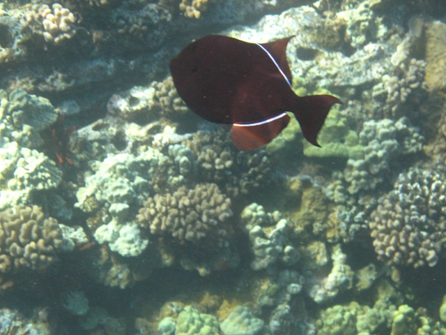 [IMG_3476%255B3%255D.jpg]