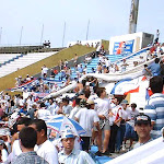 telon01.jpg