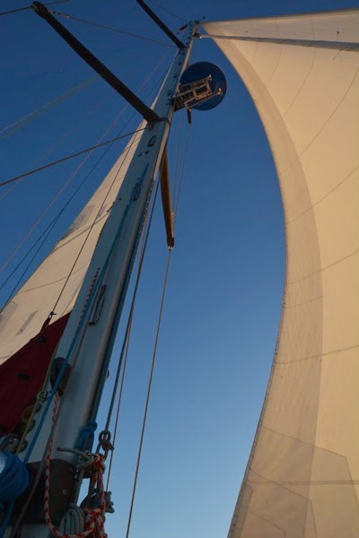 DSC_3709.jpg DSC 3709
