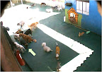 CHICOCHE en la guardería jijiji¡¡!!