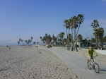 IMG00634-20100129-1532.jpg