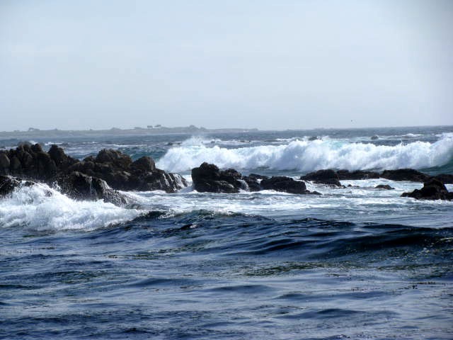 [IMG_0077%255B2%255D.jpg]