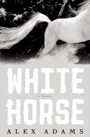 [white-horse4.jpg]