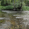 prawie jak rz. San ;) dsc01748.jpg