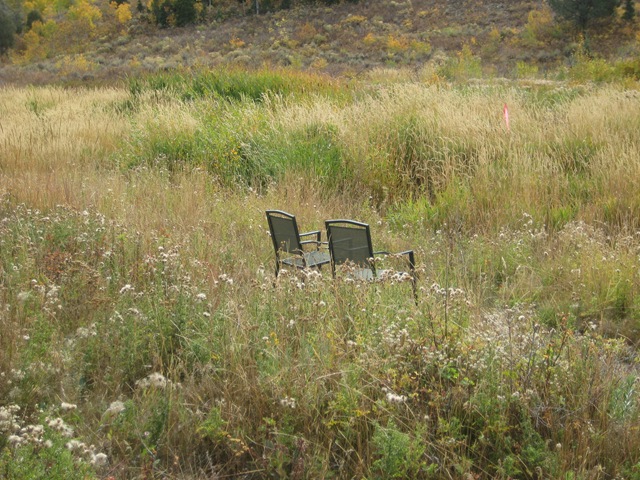 [IMG_7849%255B3%255D.jpg]