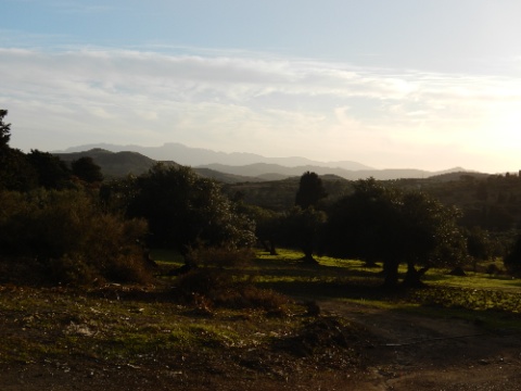 DSCN0295.jpg DSCN0295