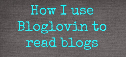 Using The Bloglovin Frame