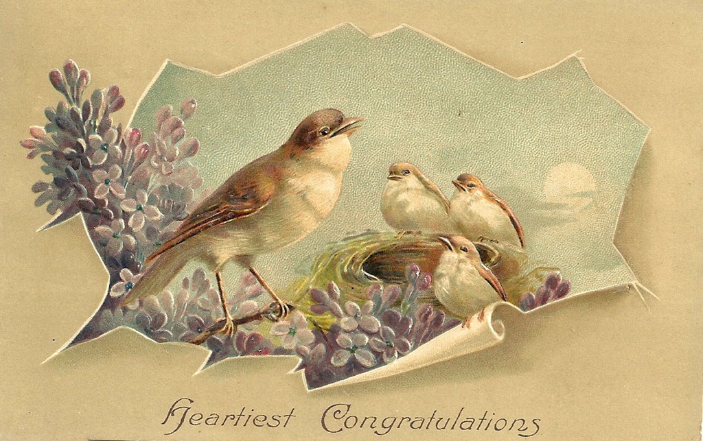 [birds%255B5%255D.jpg]