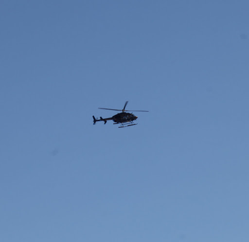 OMG!  What's that helicopter doing flying over the farm?