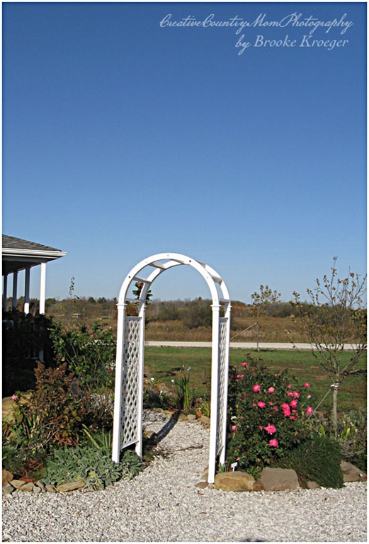 [IMG_1521%255B3%255D.jpg]