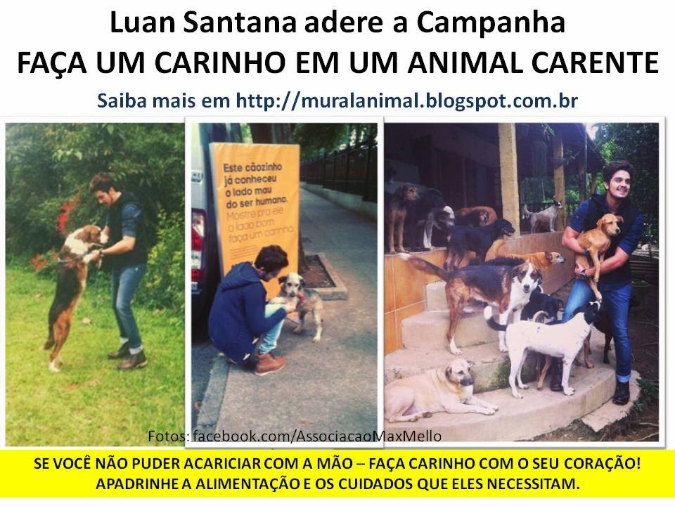 [Luan%2520Santana%2520adere%2520a%2520Campanha%255B3%255D.jpg]