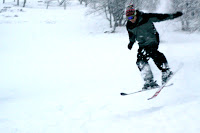 IMG_5947.JPG