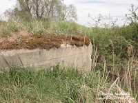 dsc00603.jpg