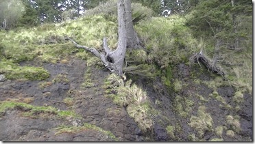 pic06 pic06
