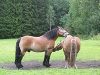 IMG_7575 IMG_7575