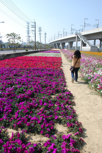 renwu_hanada_070.jpg