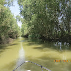 IMG_5777.JPG