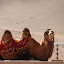 Flaming mountains - Chameau et dune