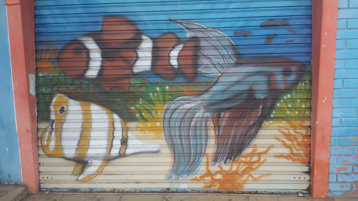 Sea Grafitti