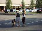 Training Brutis and Pat in the parking lot