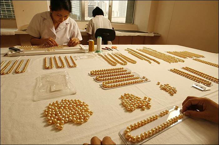 Image Dimension: 700x465 :: The making of Golden Pearl on the island of Palawan in southwestern Philippines The making of Golden Pearl on the island of Palawan in southwestern Philippines